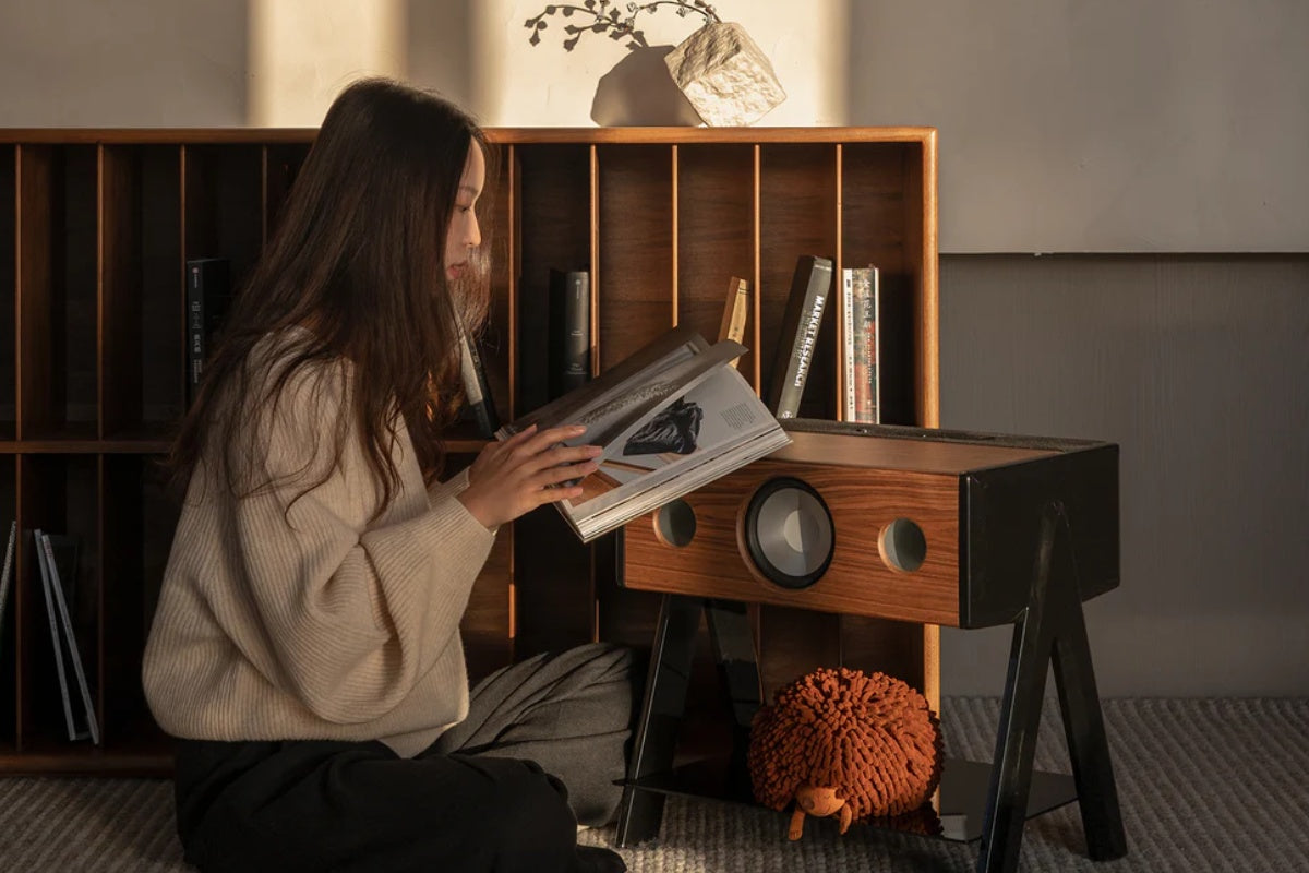La Boite Concept Woody Cube designový aktivní HiFi reproduktor