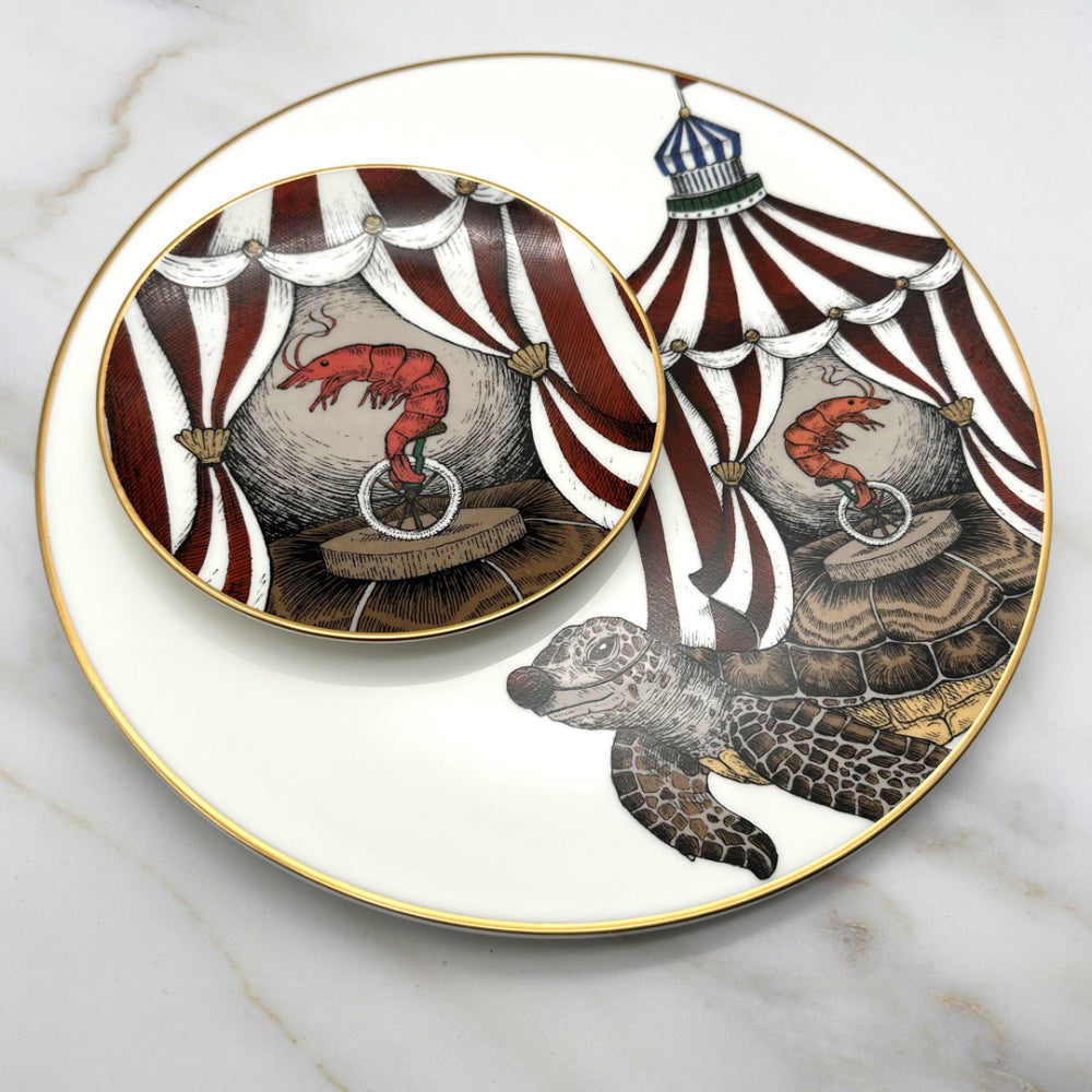 Porcelánový talíř s motivem želvy Aquatic Creatures