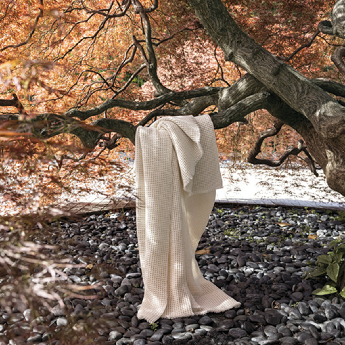 ALONPI Sasha Luxusní kašmírová deka 100% kašmír