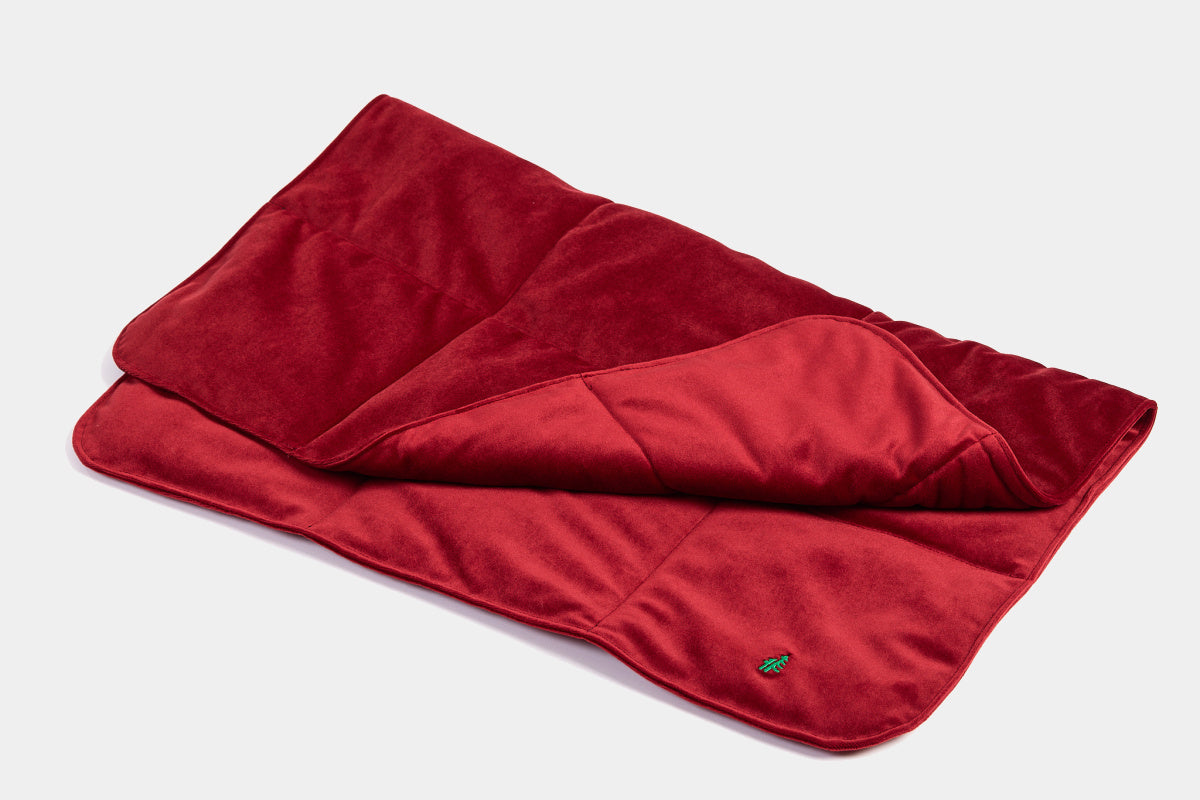 LEBEDDIE Luxusní deka pro psa s ovčí vlnou