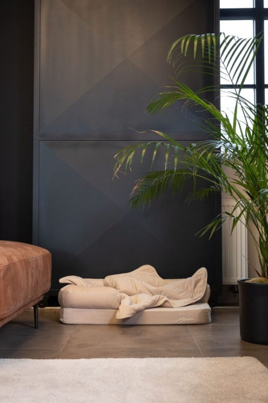 LEBEDDIE Luxusní deka pro psa s ovčí vlnou