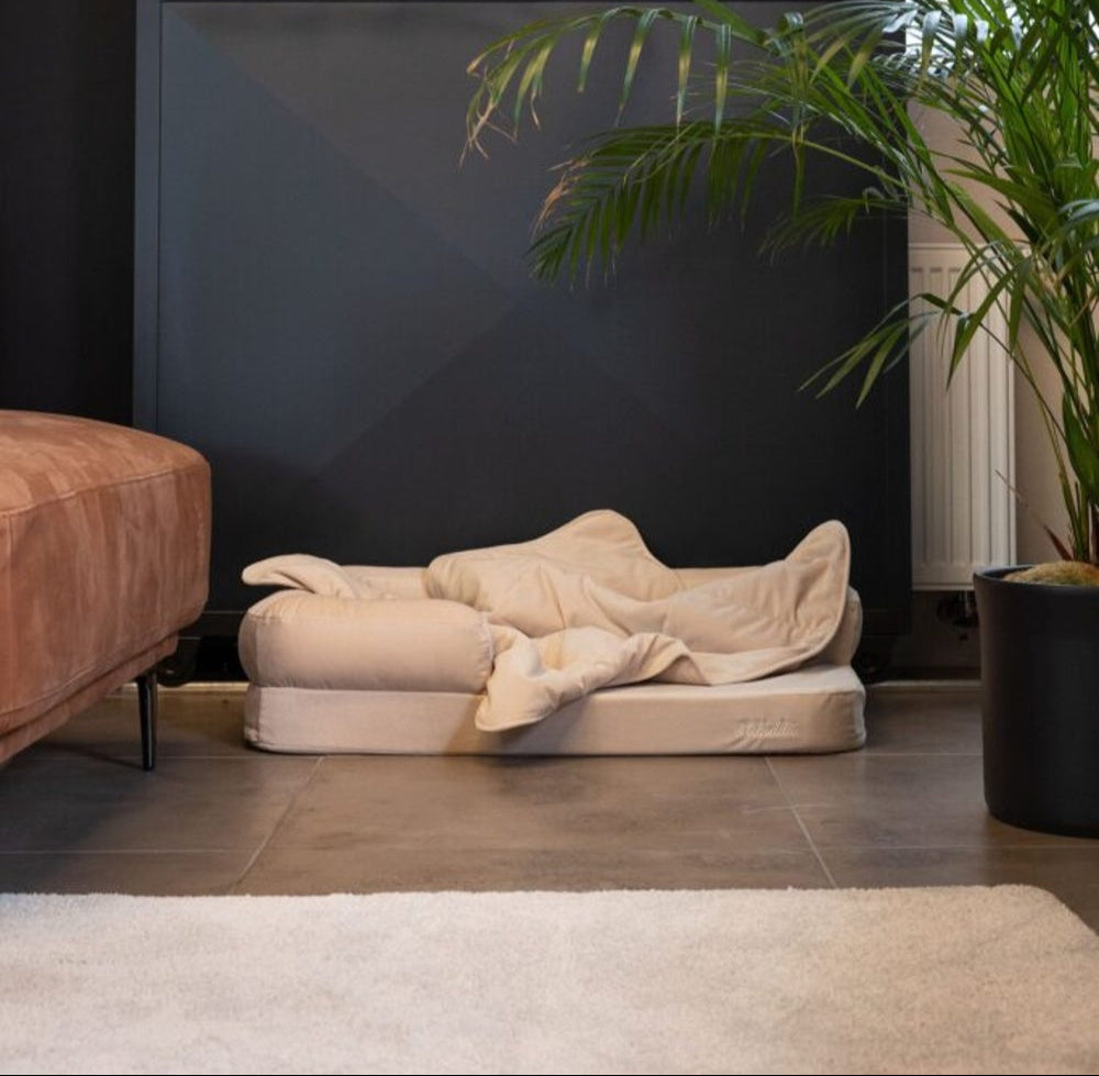 LEBEDDIE ÚTULNO Luxusní ortopedický pelech pro psy