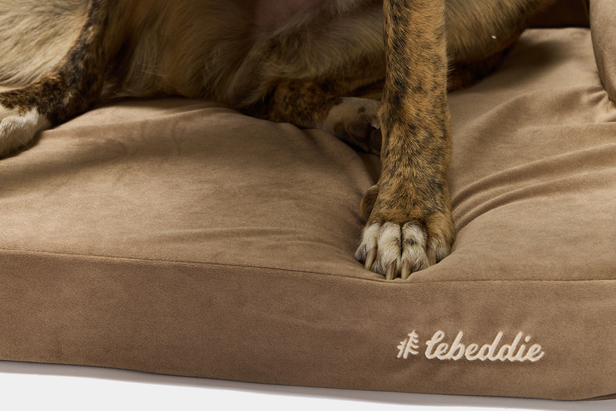 LEBEDDIE ÚTULNO Luxusní ortopedický pelech pro psy