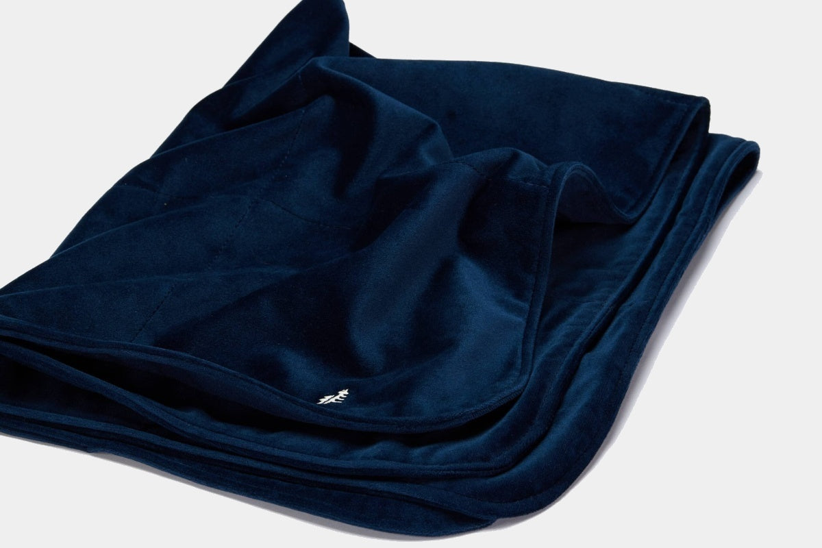 LEBEDDIE Luxusní sametová deka pro psa