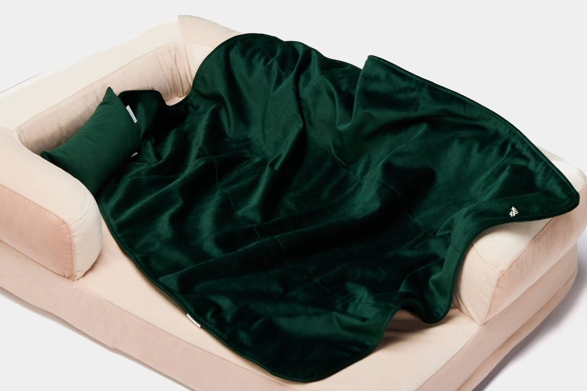 LEBEDDIE Luxusní sametová deka pro psa