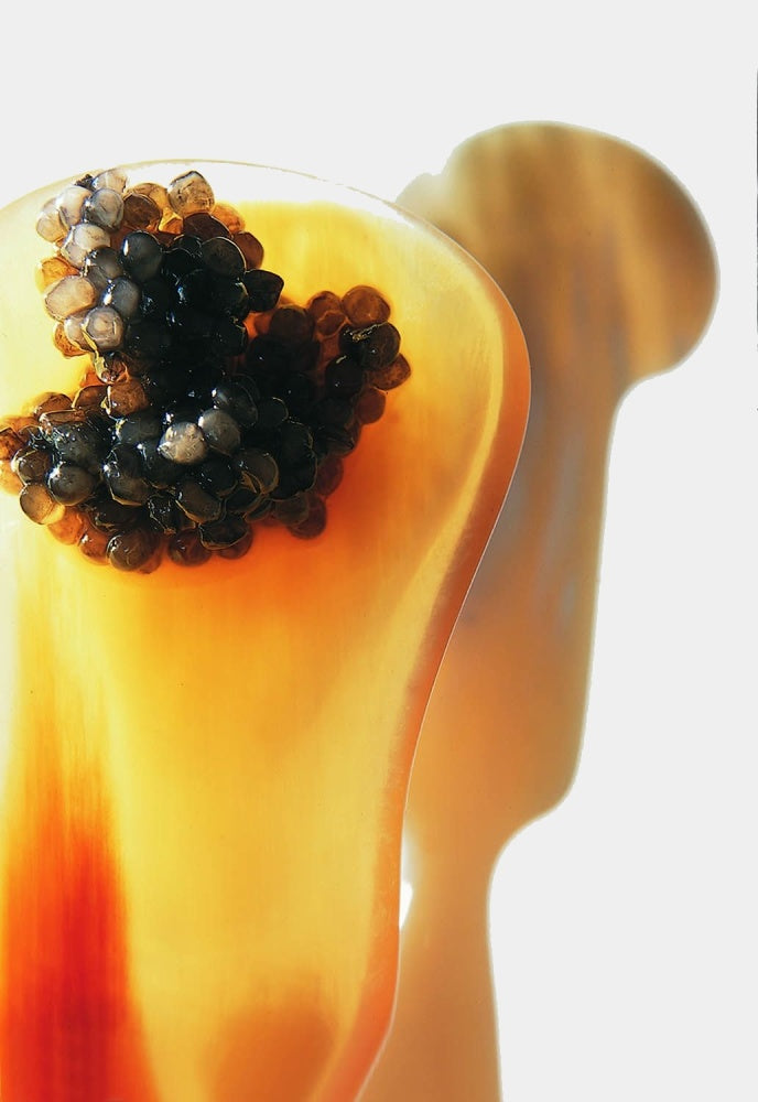 Robbe Berking Stříbrná lžíce na kaviár