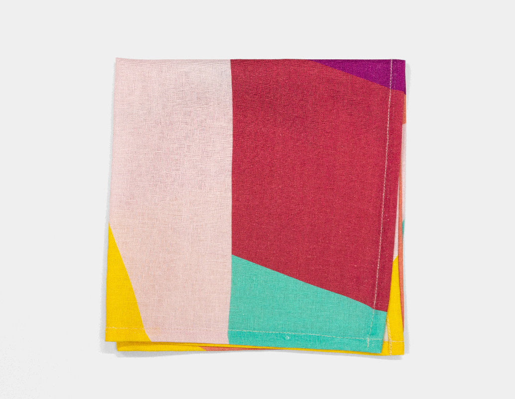 VITO NESTA velvet decorative pillow IL DUOMO CHE NON C'È #1