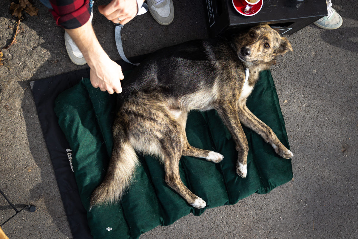 LEBEDDIE MOBEDO Přenosný pelech pro psy