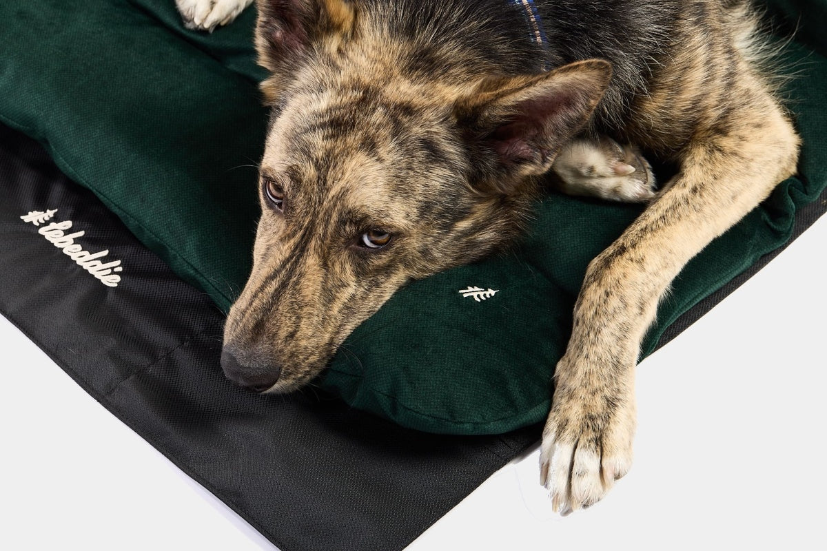 LEBEDDIE MOBEDO Přenosný pelech pro psy