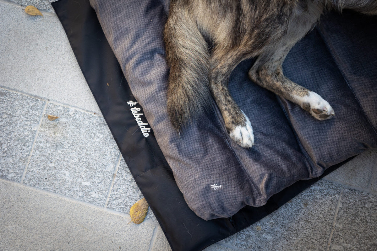 LEBEDDIE MOBEDO Přenosný pelech pro psy