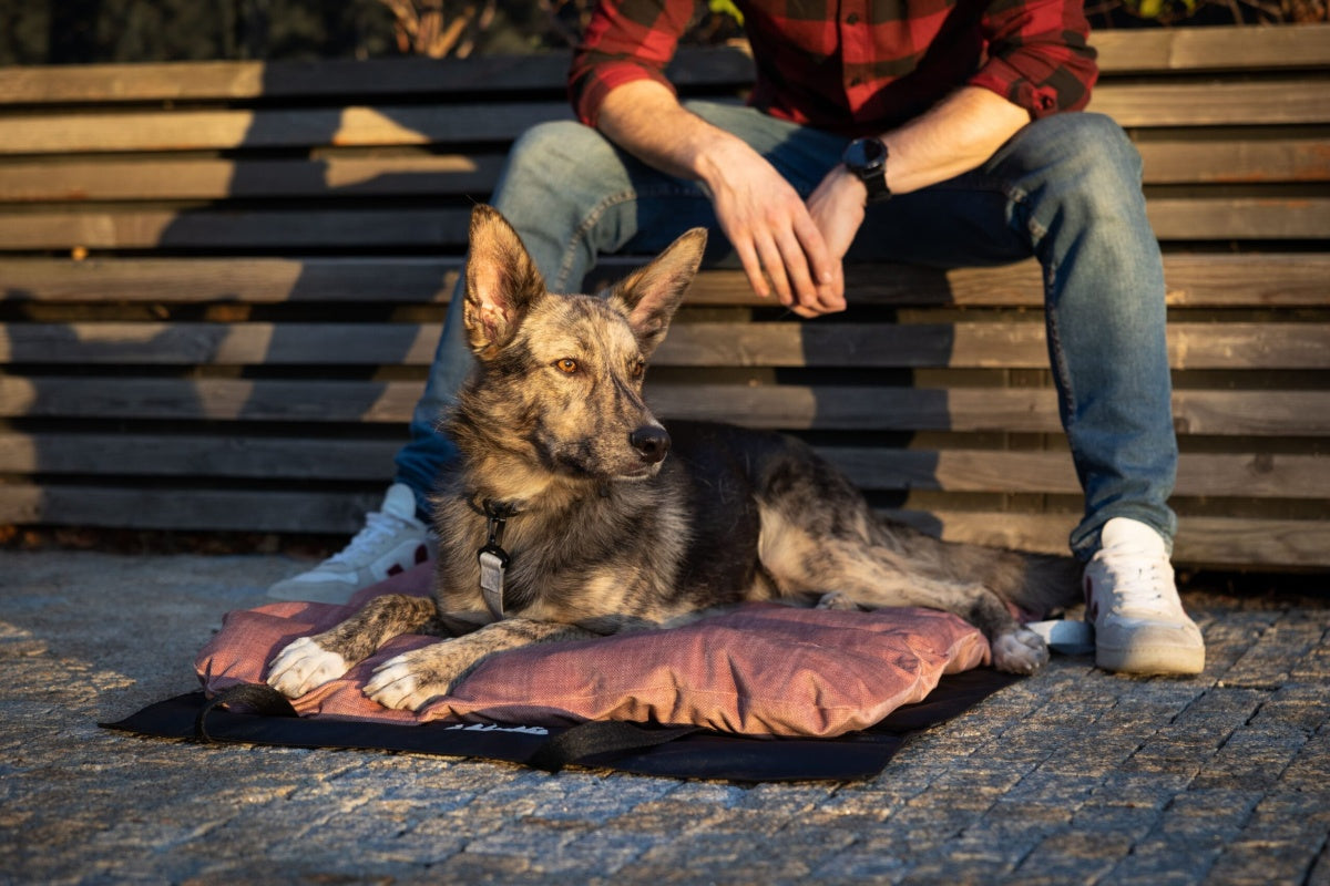 LEBEDDIE MOBEDO Přenosný pelech pro psy