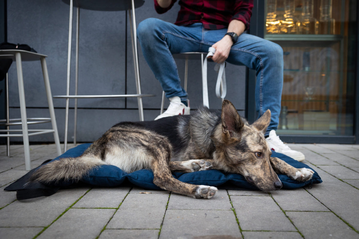 LEBEDDIE MOBEDO Přenosný pelech pro psy