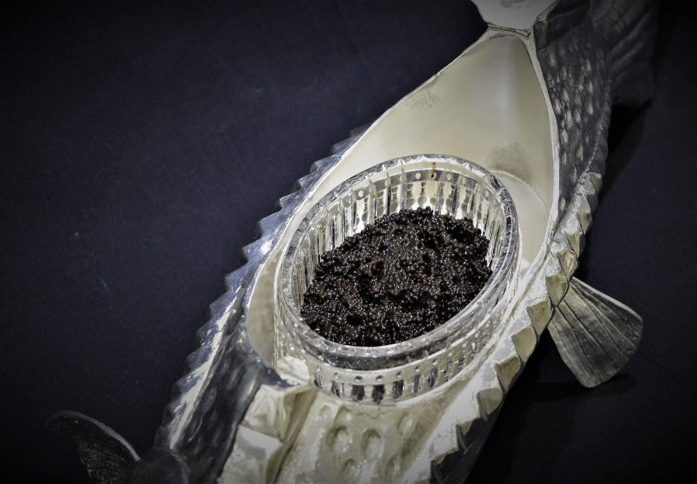 Franco Lapini Luxusní stříbrná mísa na kaviár velký jeseter