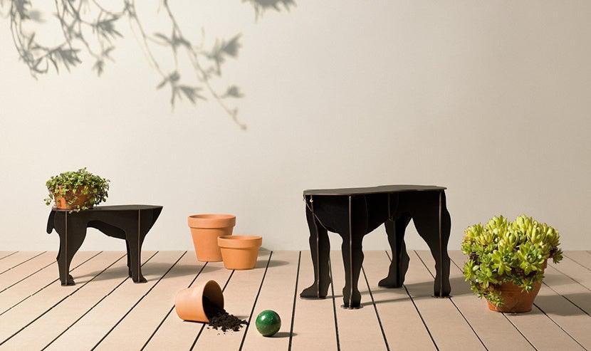 IBRIDE designová stolička REX