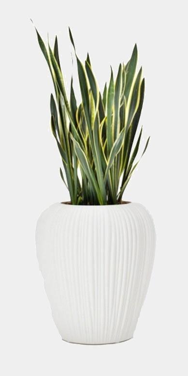 Designový květináč SKIN - MYYOUR - perdonahome