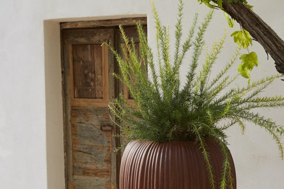 Obří designový květináč SKIN - MYYOUR - perdonahome