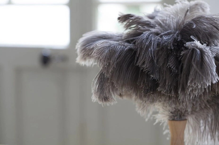 Andrée Jardin Malá prachovka z pštrosího peří