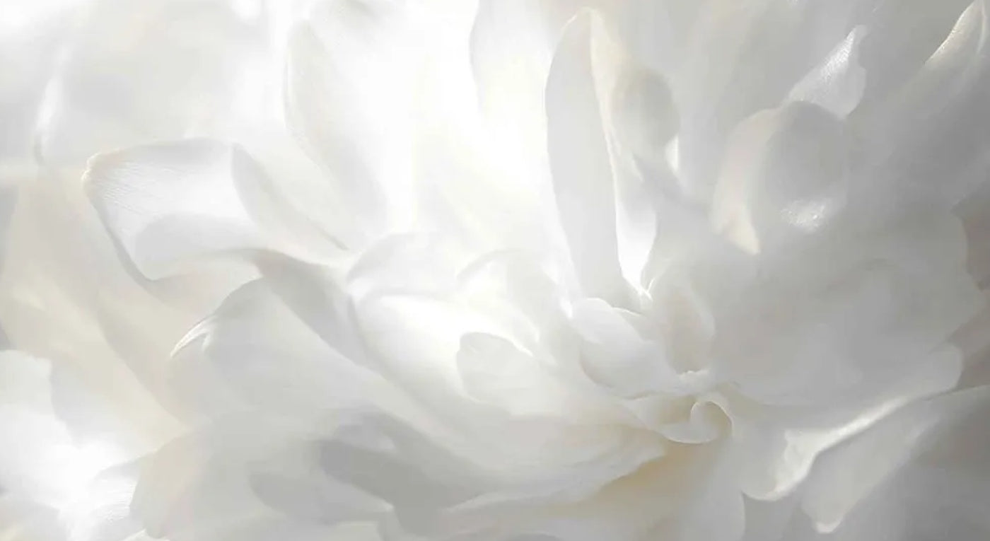 Barva roku 2026: Cloud Dancer