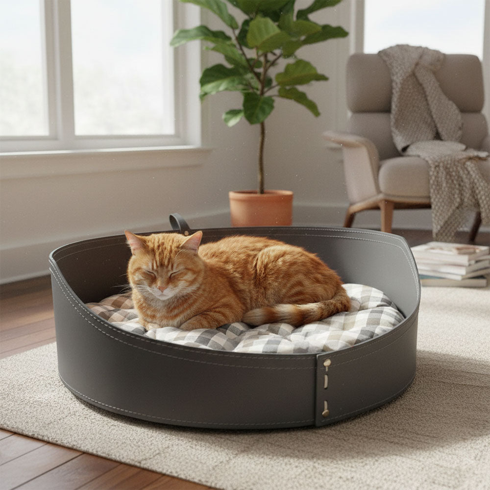 Дизайнерская кожаная лежанка SOLE для кошек