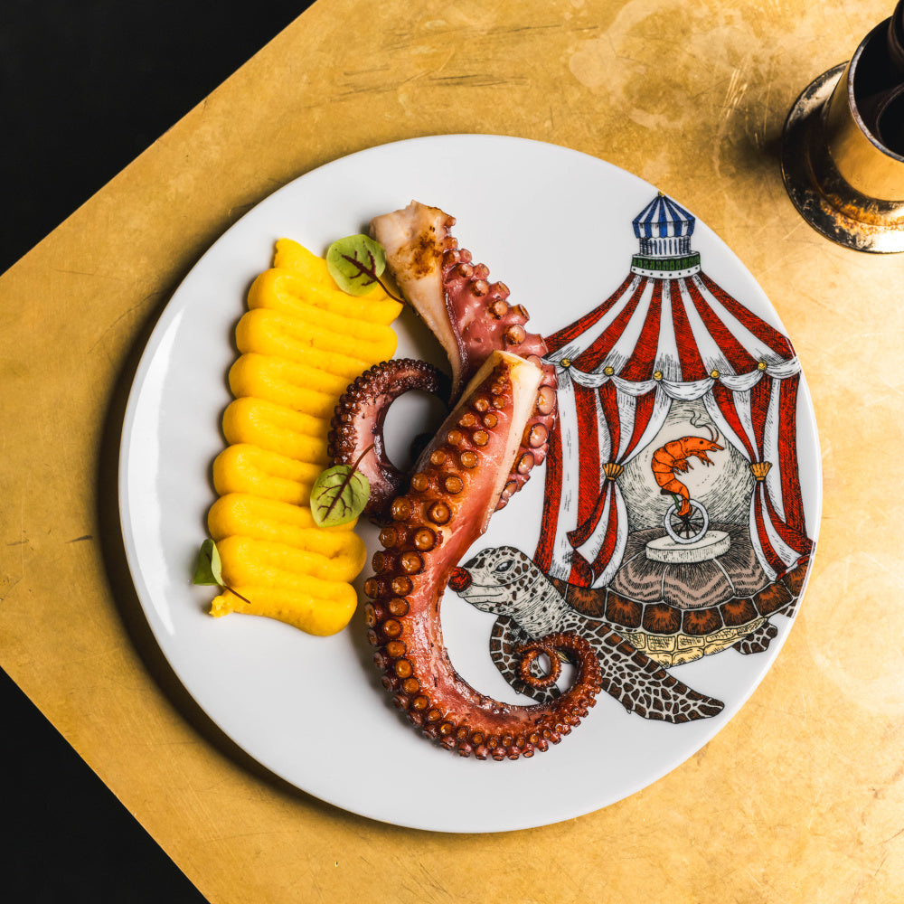 Porcelánový talíř s motivem želvy Aquatic Creatures