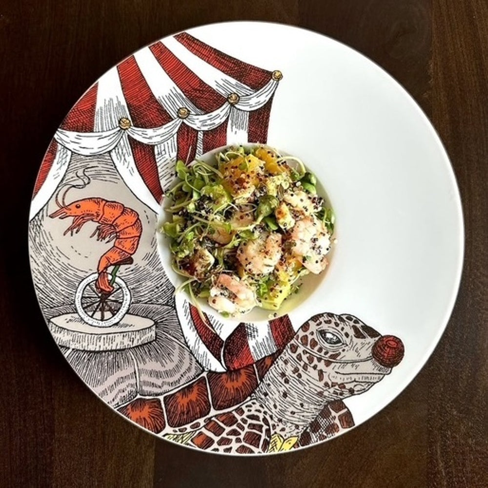 AQUATIC CREATURES Hluboký pasta talíř Turtle